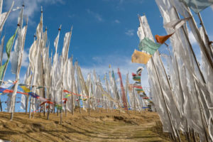 Bhutan Druk Path Challenge 3