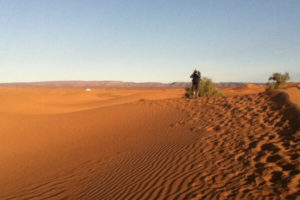 Trek Sahara Challenge 3